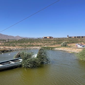 Troika - Pond near outdoor seating area. - Food Trucks Near Me - Valle de Guadalupe, BCN Troika - Pond near outdoor seating area. - Food Trucks Near Me - Valle de Guadalupe, BCN