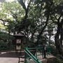 城西公園