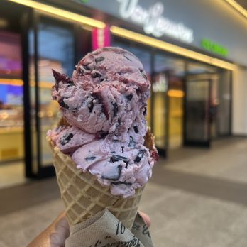 VAN LEEUWEN ICE CREAM - Updated March 2026 - 22 Photos - 1 Penn