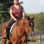 DreamCatcher Horse Ranch and Rescue Center
