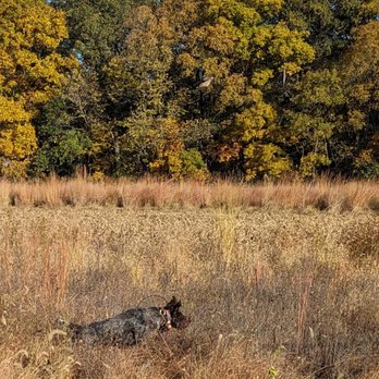 Sandy Run Hunt - Wildlife Hunting Ranges Near Me - Vandalia, Illinois
