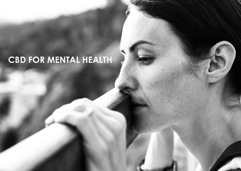 MESA LAVENDER FARMS Updated September 2024 23 Photos 545 North