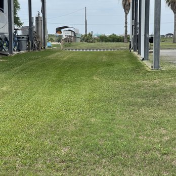Bad Boyz Mowing And Tree Services - Tree Services Near Me - El Campo, Texas Bad Boyz Mowing And Tree Services - Tree Services Near Me - El Campo, Texas