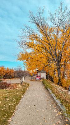 The Berry Barn by null
