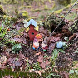 Gnomes Trail