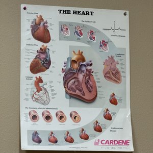 SHYAM BHASKAR, MD - Updated May 2025 - 231 W Noble Ave, Visalia ...