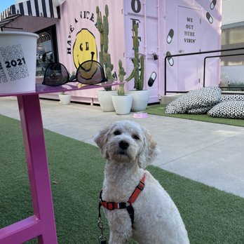 Coffee Dose - Such a cute spot - Coffee & Tea Near Me - Irvine, California Coffee Dose - Such a cute spot - Coffee & Tea Near Me - Irvine, California