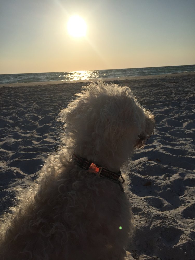 VET WITH HART VETERINARY HOUSE CALL PRACTICE Updated August 2024 23