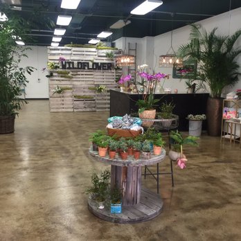 Wildflower Floral - The store is absolutely beautiful. Such an inviting space. - Florists Near Me - Boise, Idaho Wildflower Floral - The store is absolutely beautiful. Such an inviting space. - Florists Near Me - Boise, Idaho