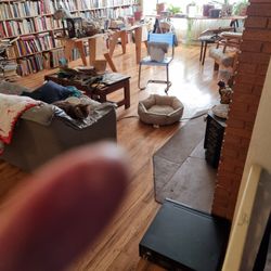 Boise Quality Hardwood Flooring - My livingroom floor. There are hardwood floors in other rooms which I might have refinished later.