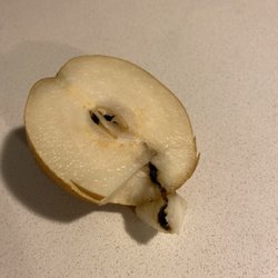 Sosio's Fruit & Produce - Rotten pear