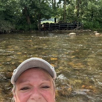 River Dog Adventures - Cows!! - Rafting/Kayaking Near Me - Elizabethton, Tennessee River Dog Adventures - Cows!! - Rafting/Kayaking Near Me - Elizabethton, Tennessee