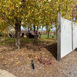 Tug Hill Vineyards