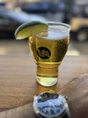 Validation Ale by null