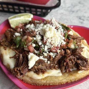 Bahia Tacos - New Mexican Cuisine Near Me - Tampa, Florida Bahia Tacos - New Mexican Cuisine Near Me - Tampa, Florida