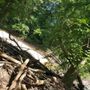 Photo of Henson Creek Park