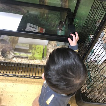 The Art Farm - I spy with my little eye... - Specialty Schools Near Me - New York, New York The Art Farm - I spy with my little eye... - Specialty Schools Near Me - New York, New York