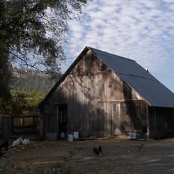 Southern Humboldt Community Park - Small barn with chickens