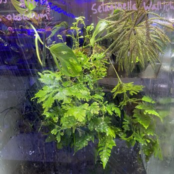 Aquatic Warehouse - Aquarium Services Near Me - San Diego, California Aquatic Warehouse - Aquarium Services Near Me - San Diego, California