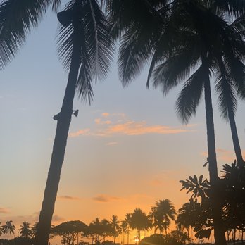 Waikiki Starlight Luau - Lagoon views - Performing Arts Near Me - Honolulu, Hawaii Waikiki Starlight Luau - Lagoon views - Performing Arts Near Me - Honolulu, Hawaii