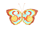 The Ellen Shaw de Paredes Institute for Women's Imaging