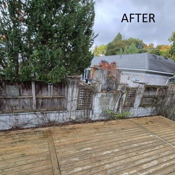 Autumn Leaf Gardening - The after shot. - Lawn Services Near Me Autumn Leaf Gardening - The after shot. - Lawn Services Near Me
