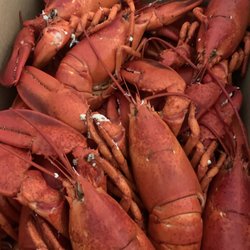 Verona Island Lobster