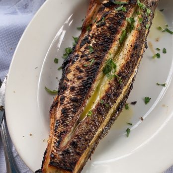Gregory's 26 Corner Taverna - Huge and delicious Branzino - Greek Near Me - Astoria, New York Gregory's 26 Corner Taverna - Huge and delicious Branzino - Greek Near Me - Astoria, New York
