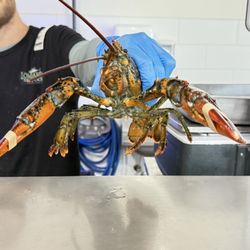 Lombardi's Seafood