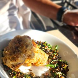 Skyhigh - Fried chicken and wild rice