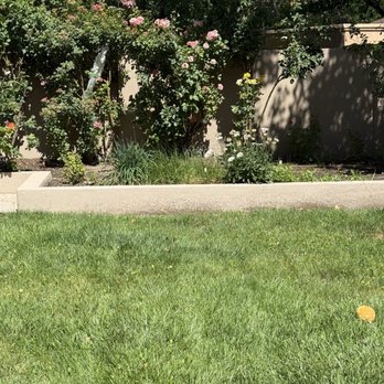 Red Shovel Landscape - Flower bed overtaken by weeds - Landscaping Near Me - Albuquerque, New Mexico