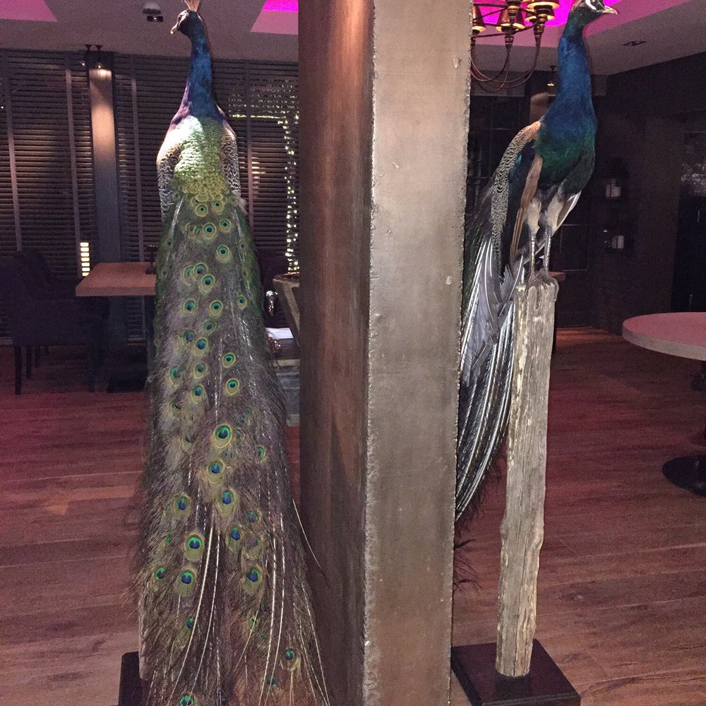 OSCAR in der Remise - Remice Bistro - Modern European Near Me - Bonn, NW