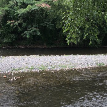The Bean Trees - View of river - Cafes Near Me - Hartford, Tennessee The Bean Trees - View of river - Cafes Near Me - Hartford, Tennessee