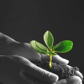 Thrive Counseling Services - Psychologists Near Me - Albuquerque, New Mexico