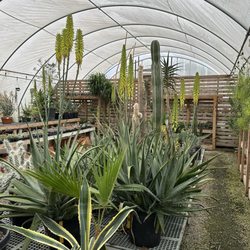 Hewitt Garden & Design Center