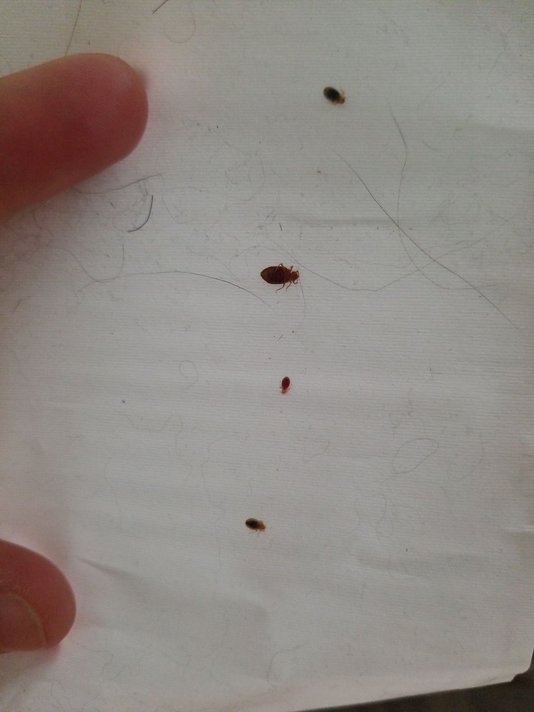 Sandal Ridge Apartments - property management company in Mesa, AZ