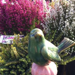 Kleijn Nurseries - Spring blooms happening at Kleijn Nurseries!