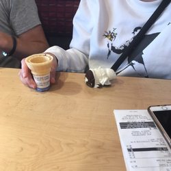 Dairy Queen Grill & Chill - Shit happens
