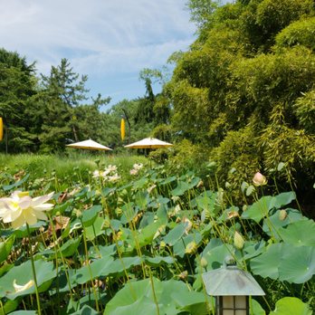 Grounds For Sculpture - Museums Near Me - Hamilton, New Jersey