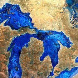 Art Is In Market - Made In Michigan!