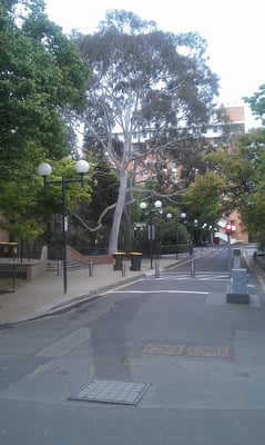 The University of Melbourne by null