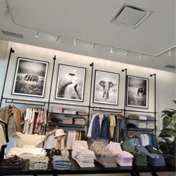 Banana Republic