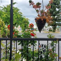 Paris Baguette - So lovely patio