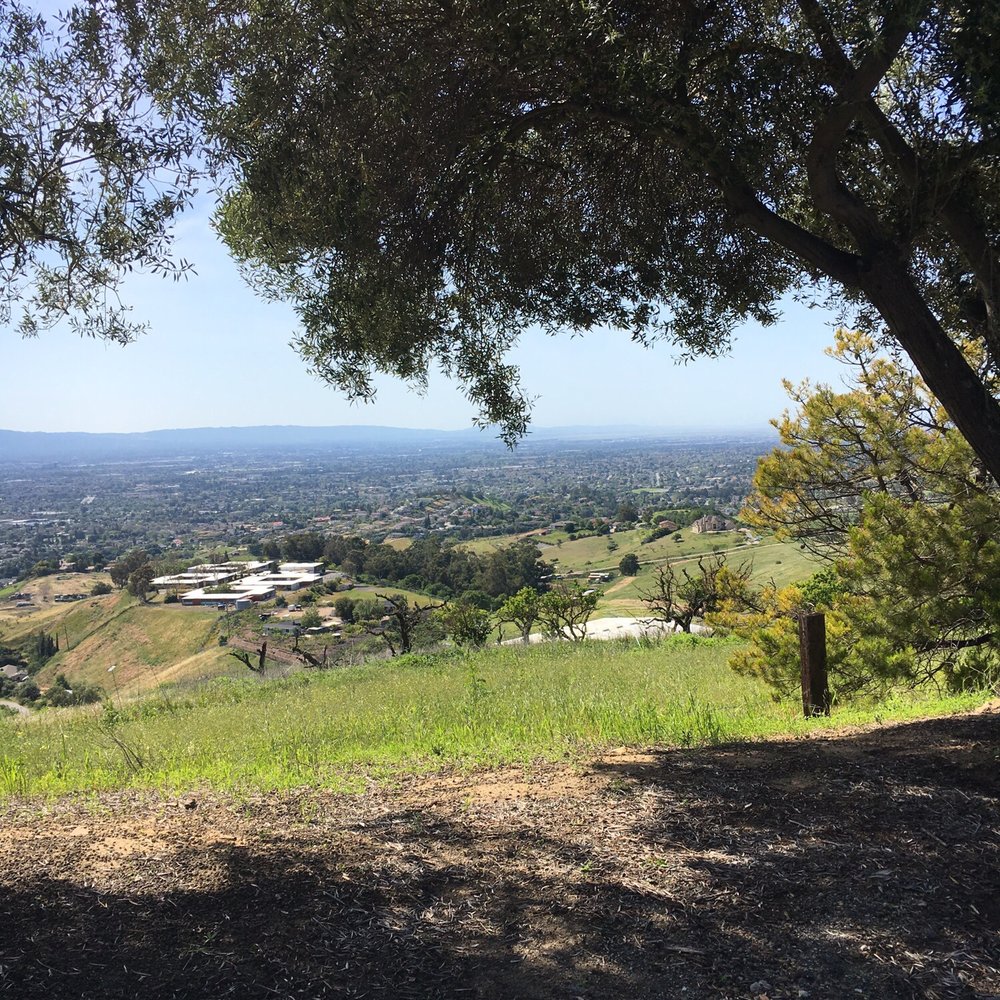 Mount St Joseph Carmelite Monastery - As we make our way on top of the hill - Churches Near Me - San Jose, California Mount St Joseph Carmelite Monastery - As we make our way on top of the hill - Churches Near Me - San Jose, California