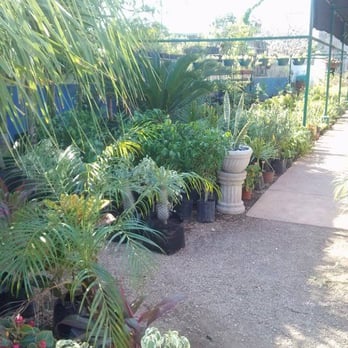 Vivero Jarde - Pasearte por los pasillos de este vivero es una experiencia refrescante y relajante. - Nurseries & Gardening Near Me - Mérida, YUC Vivero Jarde - Pasearte por los pasillos de este vivero es una experiencia refrescante y relajante. - Nurseries & Gardening Near Me - Mérida, YUC