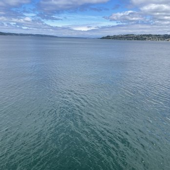 Point Defiance Park - View from the beach - Parks Near Me - Tacoma, Washington Point Defiance Park - View from the beach - Parks Near Me - Tacoma, Washington