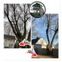 Photo of Juan Olivos Tree Services plus Landscaping