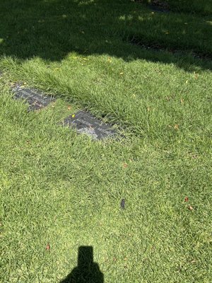 Inglewood Park Cemetery by null