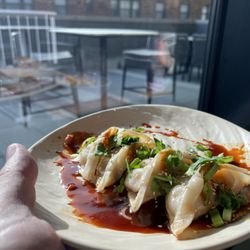 Dumplings - superb