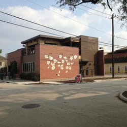 The Dogwood